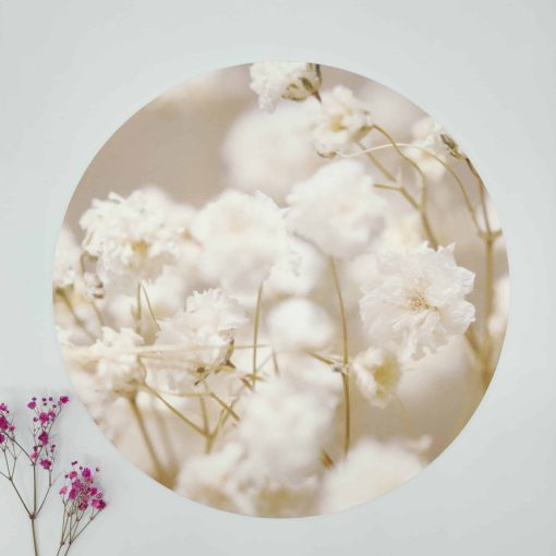 Muurcirkel Witte bloemen - 30 cm - Forex